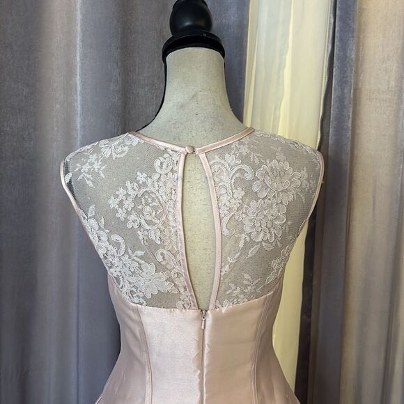 Vera Wang Elegant Lace Detail baby pink  Dress, US4 - Picture 8 of 13